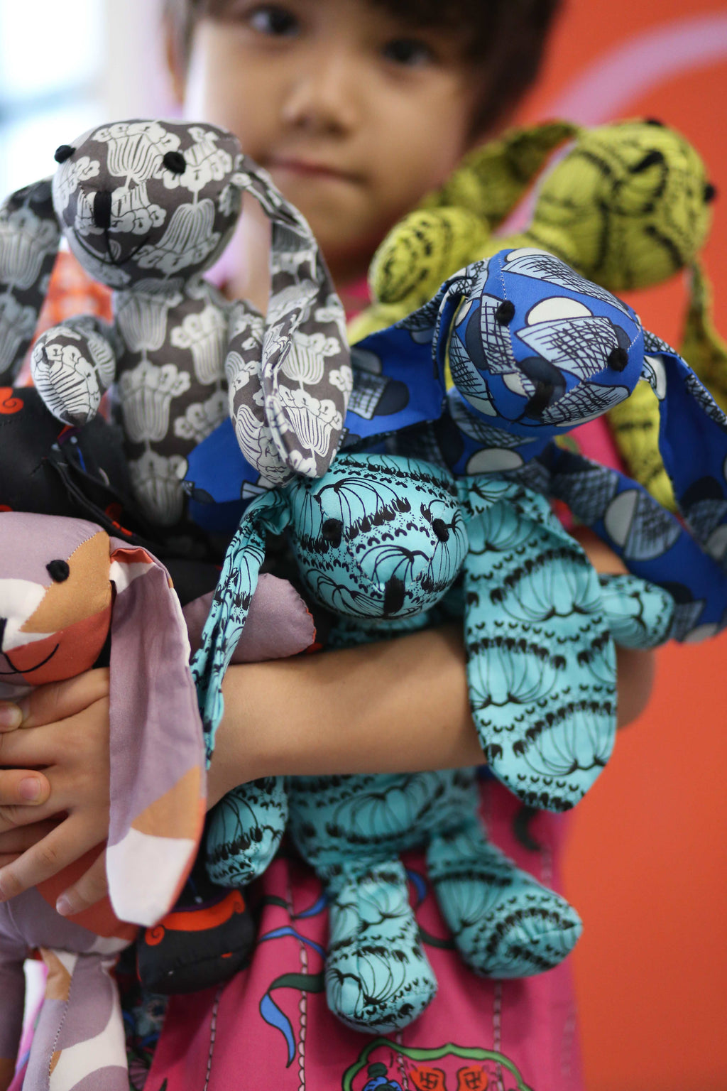 Hoppy Budhi - Hoya Turquoise