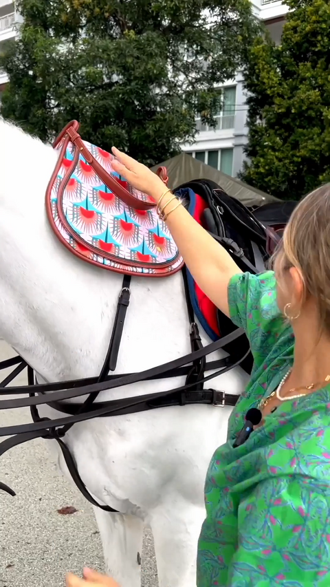 Episode 5. Saddle Bag