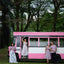 Show Time Dress - Bus Mini Pink